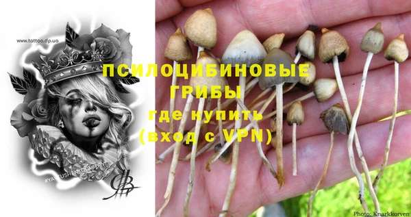 первитин Алексеевка